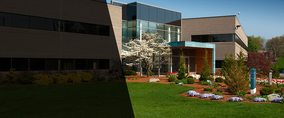 Hallettsville Landscapers