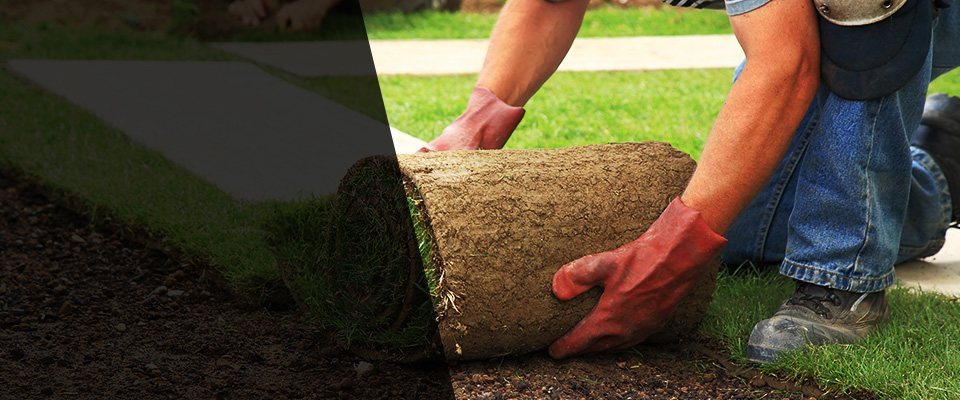 Hallettsville Landscapers